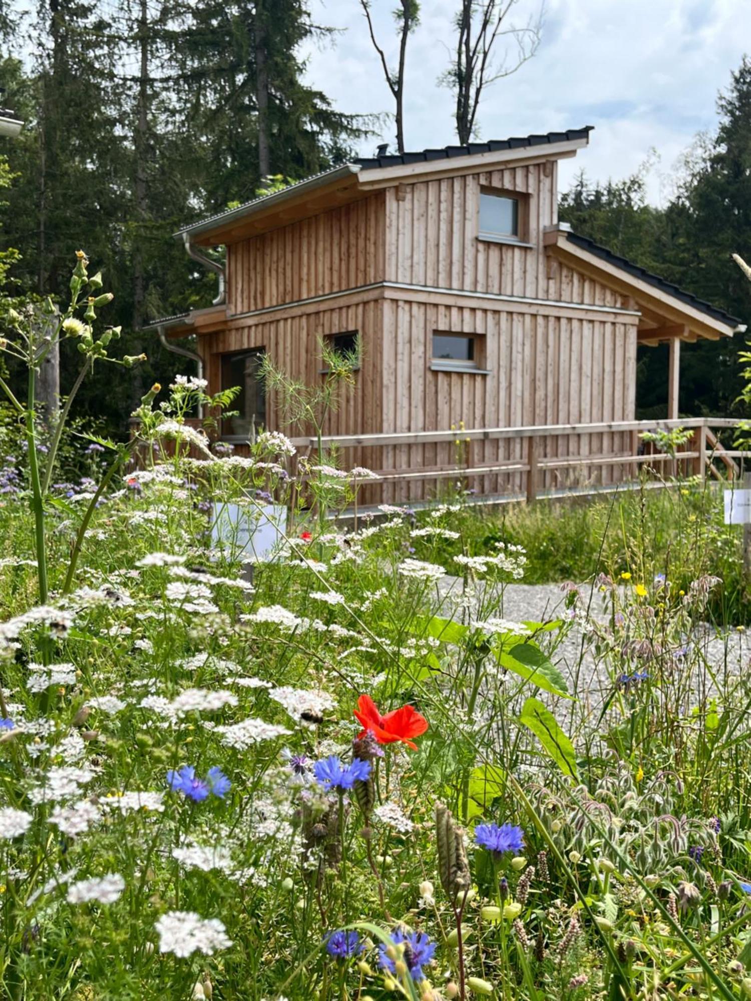 Wald Ist Zukunft Hotel Bernbeuren Exterior photo