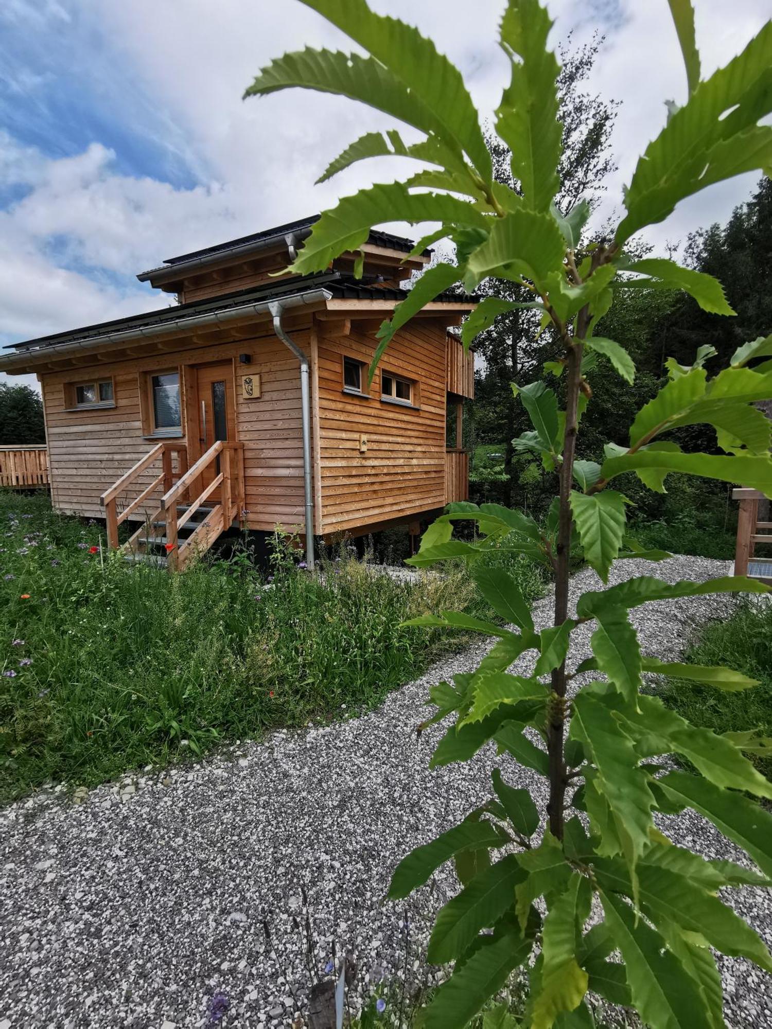 Wald Ist Zukunft Hotel Bernbeuren Exterior photo